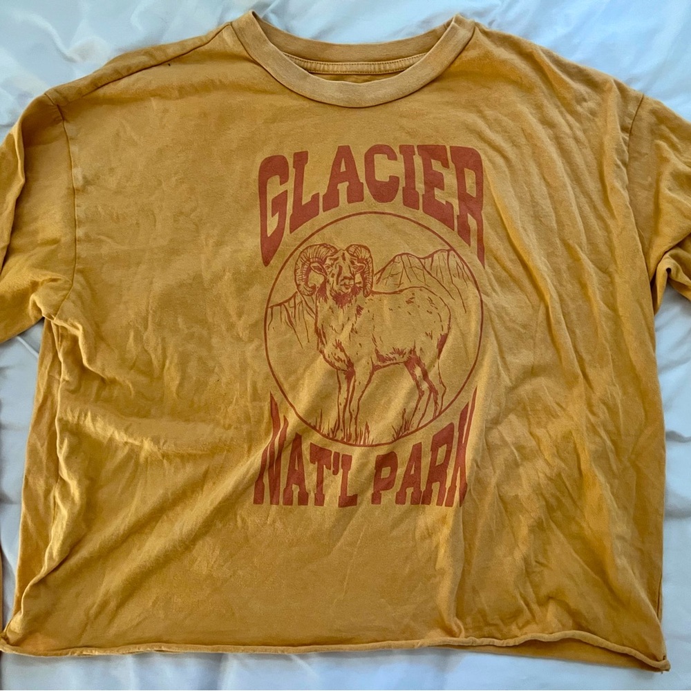 America Eagle tailgate shirt crop top